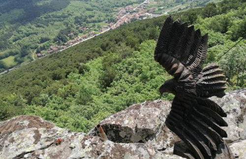 Anatiduero - Foto 18