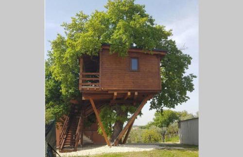 Casa sull'Albero Treehouse Costa dei Trabocchi - Foto 1