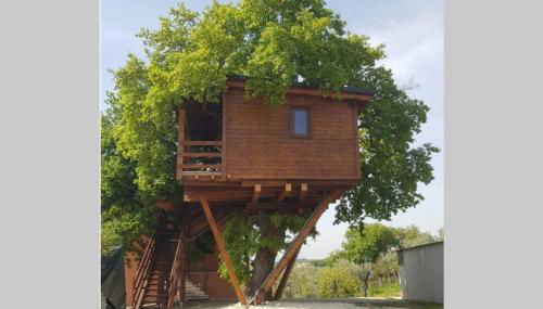 Casa sull'Albero Treehouse Costa dei Trabocchi - Foto 1