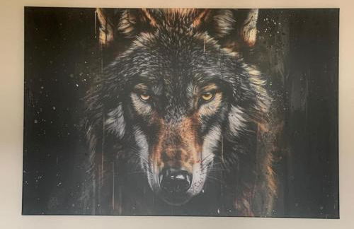 La Tana del lupo - Photo 31