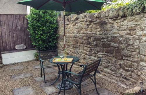 The Conifers - Foto 10