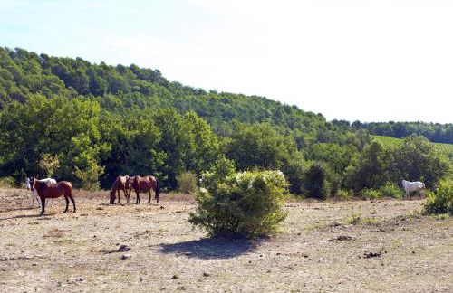 Holiday Home Villa D'Allongue by Interhome - Foto 60