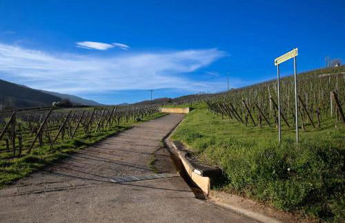 Au pied des vignes - Foto 27