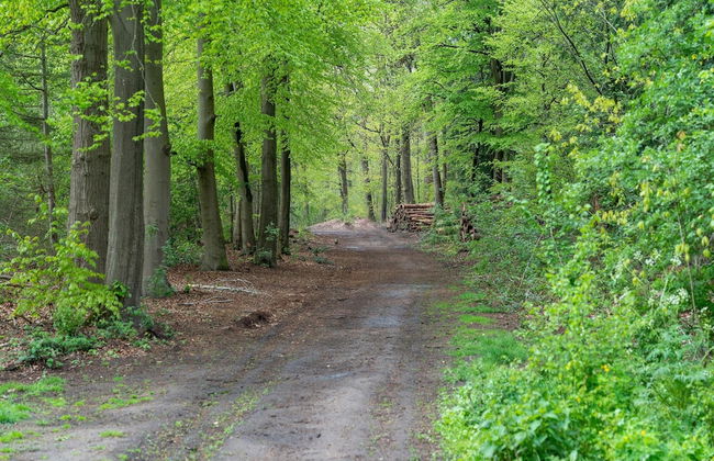 Forest Cabin With Pets - Photo 39