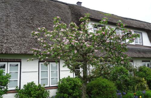 Apartment Geltinger Bucht by Interhome - Foto 33