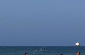 Casa Dos Ventos Hospedagem Praia do Rosa - Foto 40