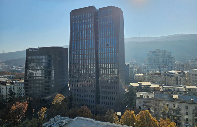 Archi chavchavadze one bedroom - Foto 36