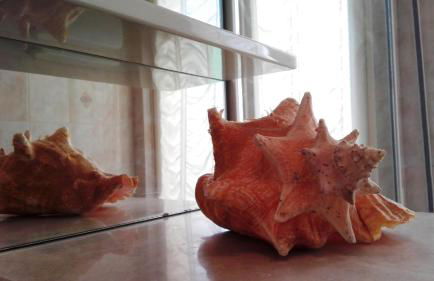 Amelie House - Foto 17