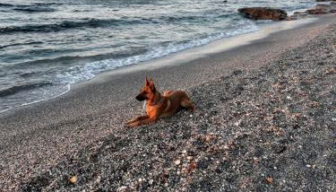 Skøn lejlighed med havudsigt og tæt på stranden - Foto 3