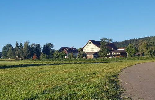 Ferienhof Hanssler - Photo 1