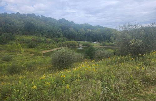 Deer Haven Cabin - Foto 57