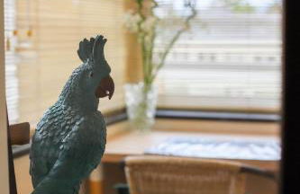 Chez Maminou - 8 couchages parking proche centre - Photo 35