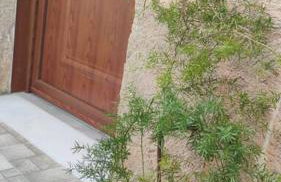 Heliophilia Malona - Photo 14