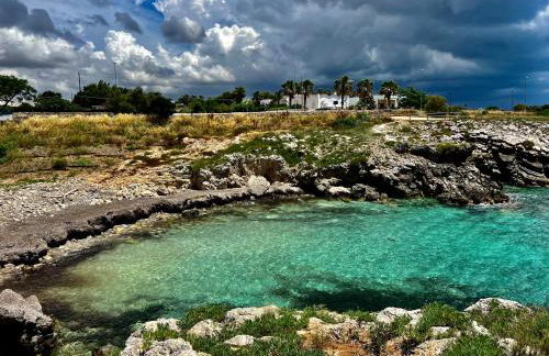 Trulli delle succulente - Foto 17