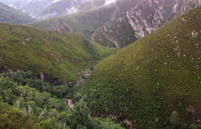 Chalet 40 Entire House Tranquil and Family-friendly Location - Photo 27