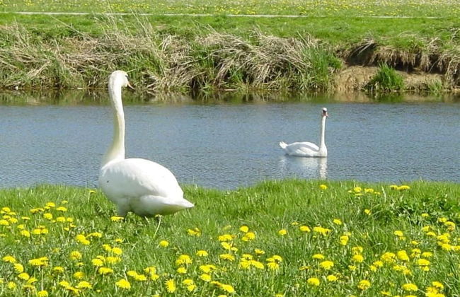 Espace Morteau - Foto 11