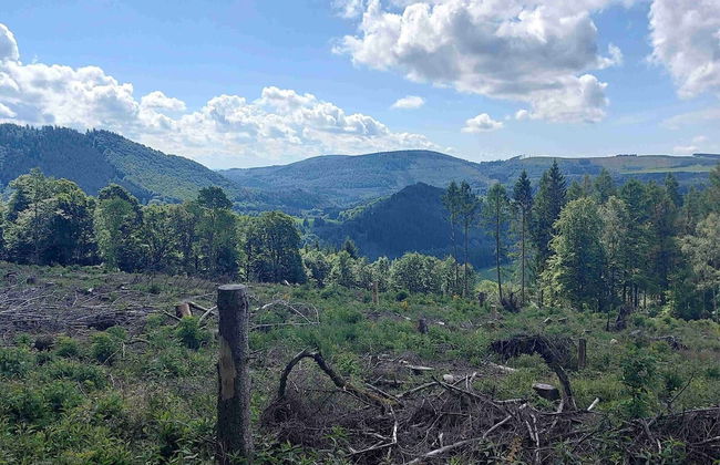 Terrace Retreat in Winterberg - Foto 19