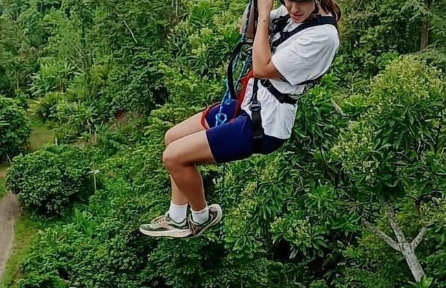 Green Jungle House - Photo 70