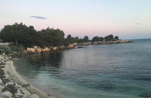 Regina Apartments - Photo 15