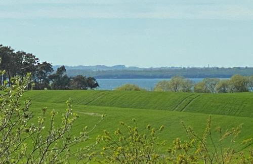 Fuchs und Elster - Foto 7