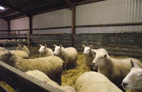 Cob Cottage - Photo 26