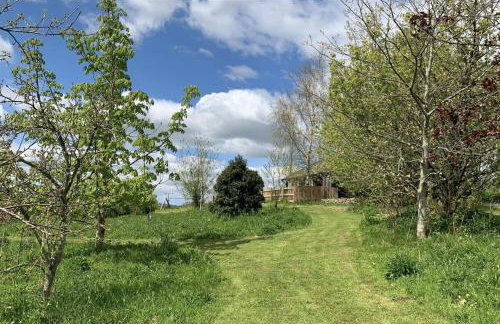 Woodpecker Lodge- A Pet Friendly Rural Retreat - Photo 1