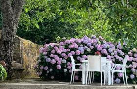 Il Ciliegio - Photo 17