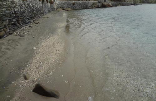 In front of the Beach. - Photo 29