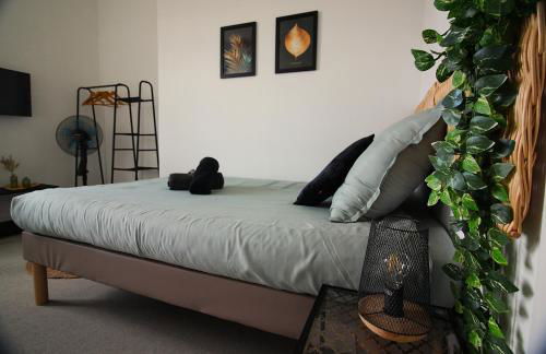 L'Escale Botanique - Foto 9