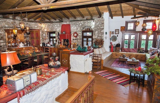 260m2 Unique Mountain House in Lilea Parnasos - Foto 48