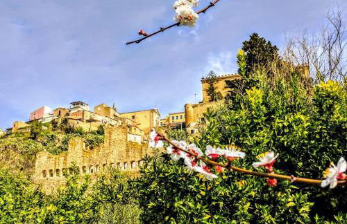 24 Cannoli - Foto 36