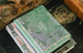 The Pedlars Flat - Foto 22