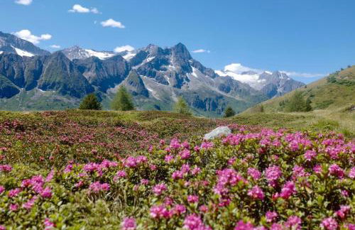 Casa Porrone - Foto 29