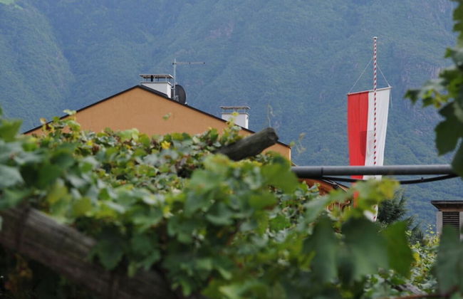 Magdalena at the Urbanhof - Foto 17