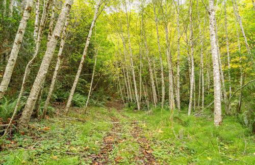 Custom Crafted Forest Retreat with Pond on 5 Acres - Photo 49