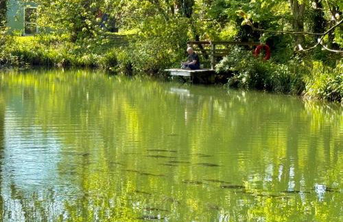 Sunridge Geodome with private Hot tub - Foto 45