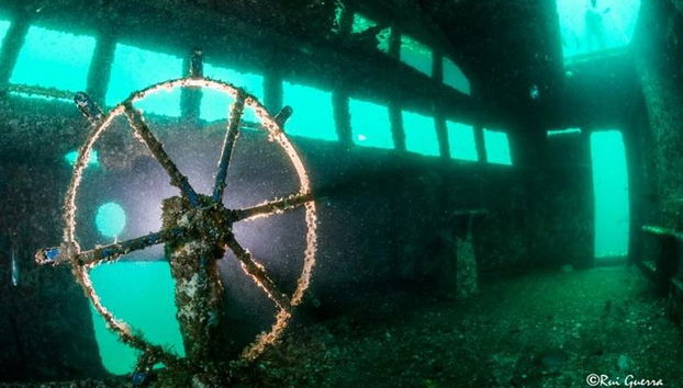 Double plongée dans le fantastique parc Ocean Revival - Photo 2