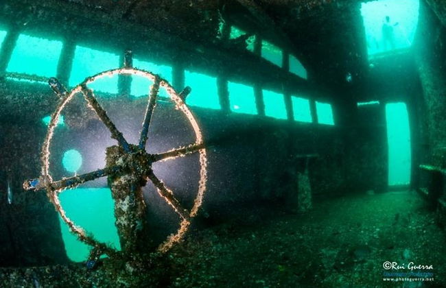 Double plongée dans le fantastique parc Ocean Revival - Photo 2