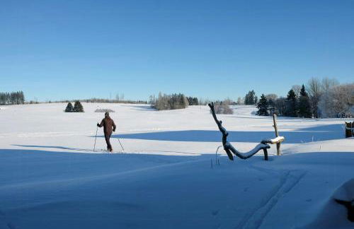 Log Cabin With Sauna In The Upper Harz Mountains - Foto 34