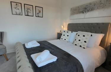 Doctors lane Stylish 3 Bedroom contractor Family House with Parking - Photo 9