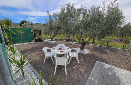 Oasis Pool in the Desert BBQ and Garden - Foto 33