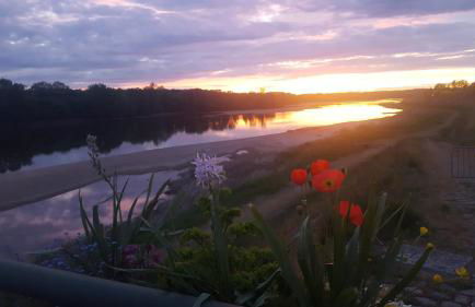 LE COSY LOIRE appart - Photo 18