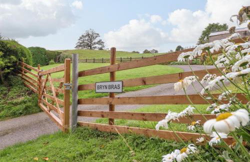 Bryn Bras - Photo 24