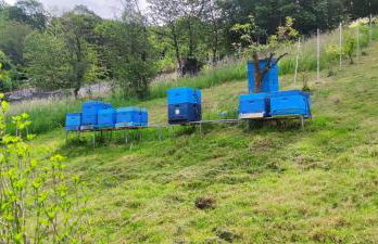 Ferienwohnung fleißige Biene - Foto 23