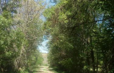 Casa da Marquinhas - Foto 67