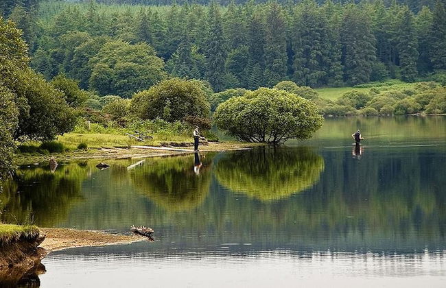 Stunning 2-bed Apartment in Newton Stewart - Photo 15