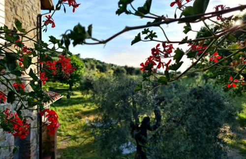 Villa Profumo di Salvia - Photo 40