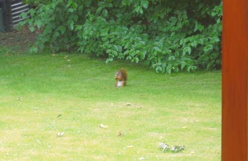 HummelCasa Ferienhaus Bayreuth - Foto 40