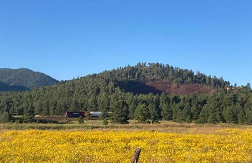 The Grand Getaway at Williams - Family Friendly for up to 8 & Walking Distance to the GC Railway - Photo 17