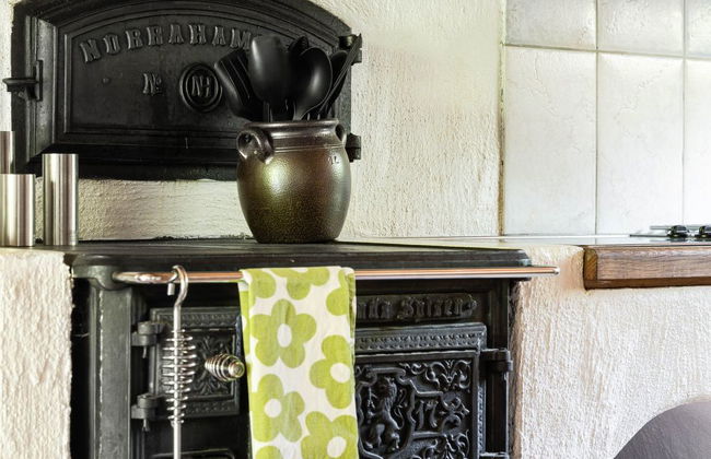 Vänneböke - Foto 15